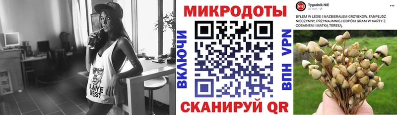 Псилоцибиновые грибы прущие грибы  где продают   Азов 